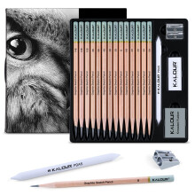 KALOUR 18-Piece Professional Sketch Pencil Set - Includes 5H to 14B Pencils, Vinyl Eraser, Kneaded Eraser,Sharpener and Paper Blending Stump - Ideal
