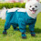 Vanntette hundetights for små og store hunder 3