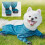 Vanntette hundetights for små og store hunder 8