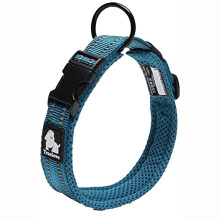 Truelove Dog Training Collar TLC5011 Reflective Premium Buckle Nylon Webbing Pet Dog Collars,High Grade Nylon Webbing No Choke Basic Collars Now