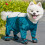 Vanntette hundetights for små og store hunder 5