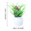 7-Piece Mini Flowerpot & Grass Model Set 4