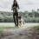 Hunter HUNTER Training leash, 13/200 Soft genuine cow leather, dark brown 2