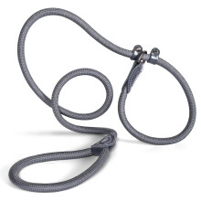 Slip Lead 150 cm for Large & Small Dogs - Collar with Integrated Lead - Slip Leash & Training Lead Dog - Guide Lead for Labrador & Retriever - Shock