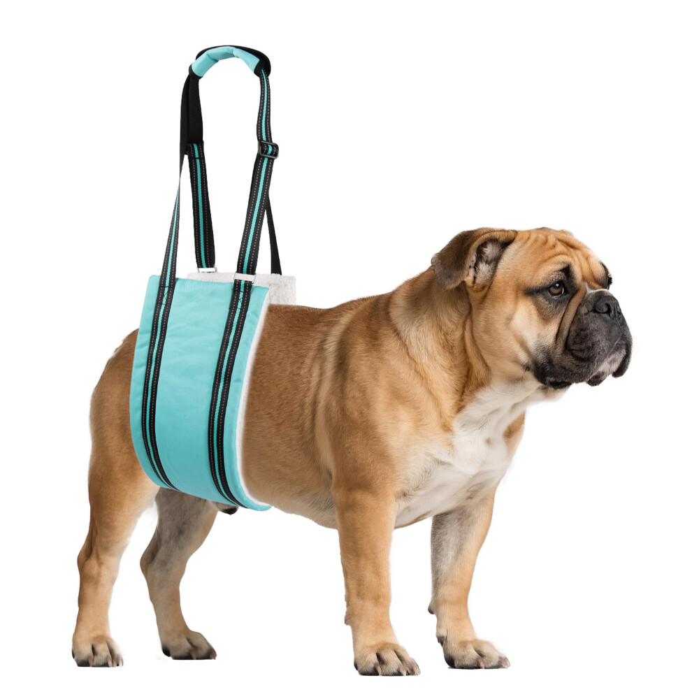 Aiitle Dog Slings For Small Dogs - Adjustable Hind Leg & Hip Support Harness, Plush Rehab Lift Aid With Reflective Straps, Assist