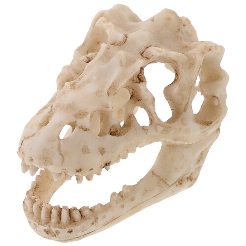 Μοντέλο αγάλματος δεινοσαύρου Triceratops για διακόσμηση γραφείου στο σπίτι