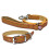 Rosewood "Luxury Leather Collar Tan 3/4"" X 14-18""", clear 2