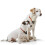 Hunter HUNTER Freestyle 43663 Training Collar 50/10 3
