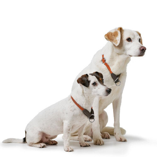 Hunter HUNTER Freestyle 43663 Training Collar 50/10 2
