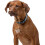 Hunter HUNTER Vario-Plus Nylon Collar, 20/40 x 55 cm, Medium, Brown 5