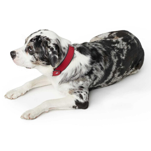 Hunter Hunter - Dog Collar Softie red 42-53cm 2
