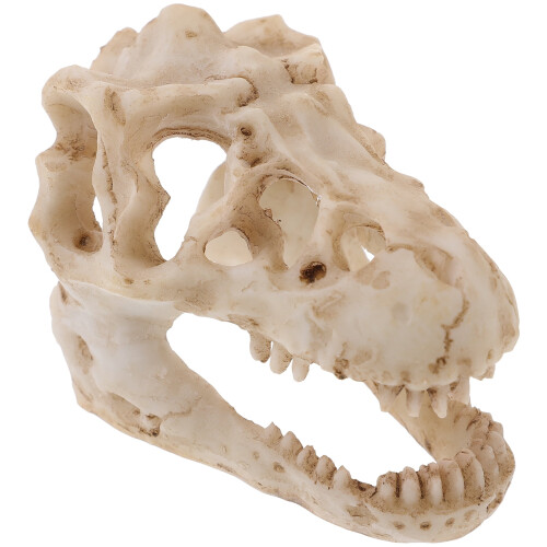 Μοντέλο αγάλματος δεινοσαύρου Triceratops για διακόσμηση γραφείου στο σπίτι 2