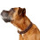 Hunter HUNTER Collar Solid Education Special, 45 67283 Soft genuine cow leather, dark brown 3