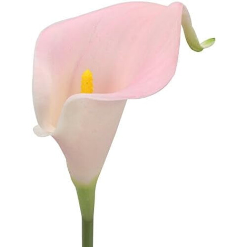 20 flori artificiale Calla, 34 cm, la atingere 2
