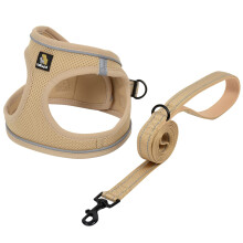 BELLA & PAL Dog Harness and Leash Set, Step-in Puppy Harness, Breathable Air Mesh with Reflective Strips, No Pull Vest for Puppies/Extra Small/Small