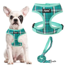 PUPTECK Dog Harness Small Dog Soft Mesh Pet Puppy Cat Comfort Padded Vest No Pull Harnesses and Leash Set