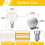 Ampoules LED G16.5 E12 à intensité variable, blanc chaud dépoli, lot de 2 4