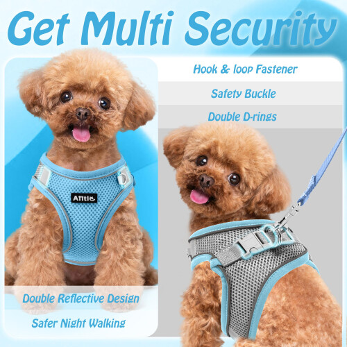 AIITLE Breathable No-Choke Harness for Medium Breeds - Reflective Leash Set with Hook-and-Loop Straps, Durable for Training, Jogging, Adventures 2