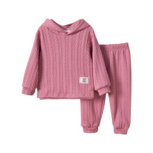Conjunto de sudadera con capucha de color liso para niños con pantalones largos de moda, conjunto suave de dos piezas para otoño e invierno para