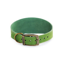 Ancol Timberwolf Leather Greyhound Collar Green, 34-43 cm