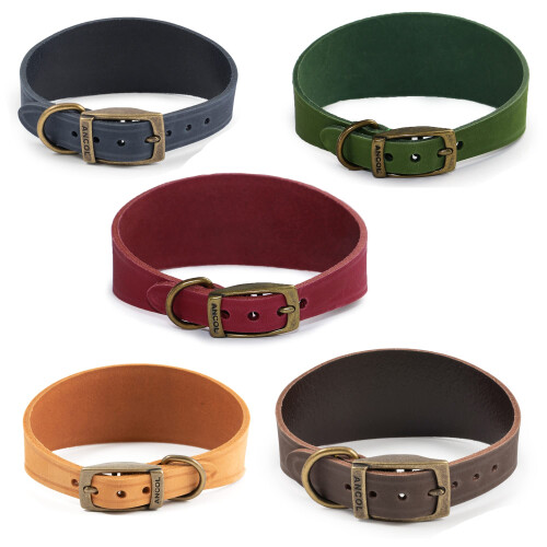 Ancol Ancol Timberwolf Leather Greyhound Collar Green, 34-43 cm 1