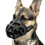BARKLESS Dog Muzzle, Basket Muzzle for Biting, Chewing and Scavenging, Humane Cage Mouth Cover, Perfect for Grooming and Training Medium, Large 1