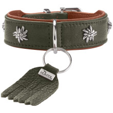 HUNTER Munich Dog Collar Colour: Green/Cognac, Leather, Elegant Costume Details, Soft and Robust, Fur Friendly, Luxurious, Ecologically Produced,
