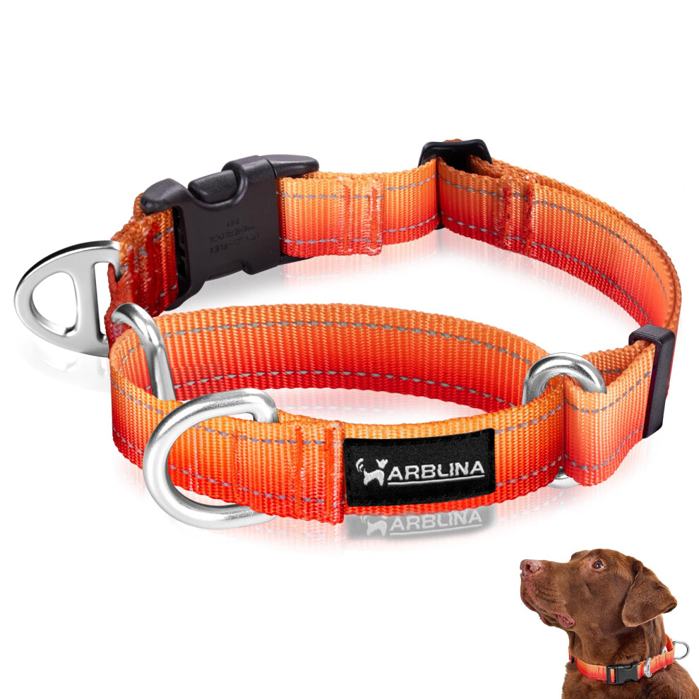 Arblina Martingale Dog Collar, Reflective No-Pull Collar For Large Medium And Small Dogs, No-Escape Slip Dog Collar For Whippets, Greyhounds, Saluki, Orange