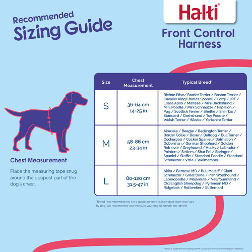 Halti HALTI Front Control Harness, Size Large, Professional Dog to Stop Pulling on the Lead, Easy to Use, Anti-Pull Training Aid, Front Leading No Pull for 2