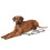 Hunter HUNTER Adjustable leash Sansibar Rantum, 12/200 Rope, grey 4
