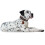 Hunter HUNTER Collar Cody, 45, Small 5
