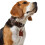 Hunter HUNTER Collar Cody, 45, Small 4