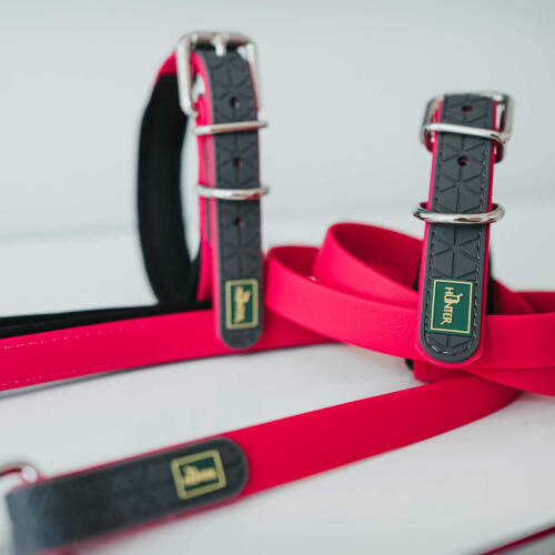 Hunter HUNTER Convenience Comfort Dog Collar Plastic Material Neoprene 55 M-L, Raspberry 2