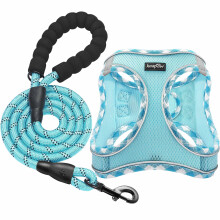 haapaw Dog Harness and Lead Set, No Pull Adjustable Reflective Step-in Puppy Harness with Thickened Padded Vest for Extra-Small/Small Medium Dogs
