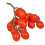 Tomate artificial falso, decoração realista, vermelho. 5