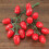 Tomate artificial falso, decoração realista, vermelho. 4