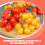Tomate artificial falso, decoração realista, vermelho. 3