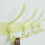 Wall-Mounted Coat Rack with 5 Hooks – White, Heavy-Duty 3