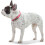 Hunter Hunter - Comfort Collar 37-45 cm Convenience pink 3