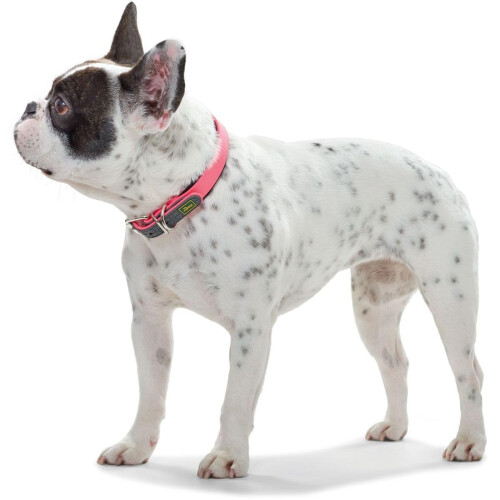 Hunter Hunter - Comfort Collar 37-45 cm Convenience pink 2