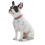 Hunter Hunter - Comfort Collar 37-45 cm Convenience pink 4