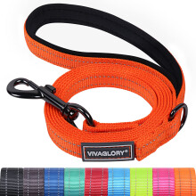 VIVAGLORY Dailyx Dog Lead, Dog Leash for Training & Walking with Soft Padded Handle, Heavy Duty & Double Layer Nylon for Pet Puppy, 120 x 1.4cm,