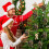 Sasquatch kerstornament grappige feestdecoratie 2026 3