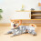 Hundedragt i flannel til små, mellemstore hunde 4