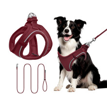 Qianruida Step-in Dog Harness, Reflective Breathable Mesh Soft Comfort Adjustable Vest Harness for Small Dogs Cats for Walking Running Training