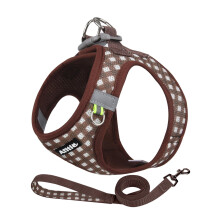 AIITLE Easy Walk Dog Vest Harness and Leash Set, Pet Supply No Pull, Breathable Mesh, Reflective Stripes, Adjustable Escape Proof Pet Outdoor