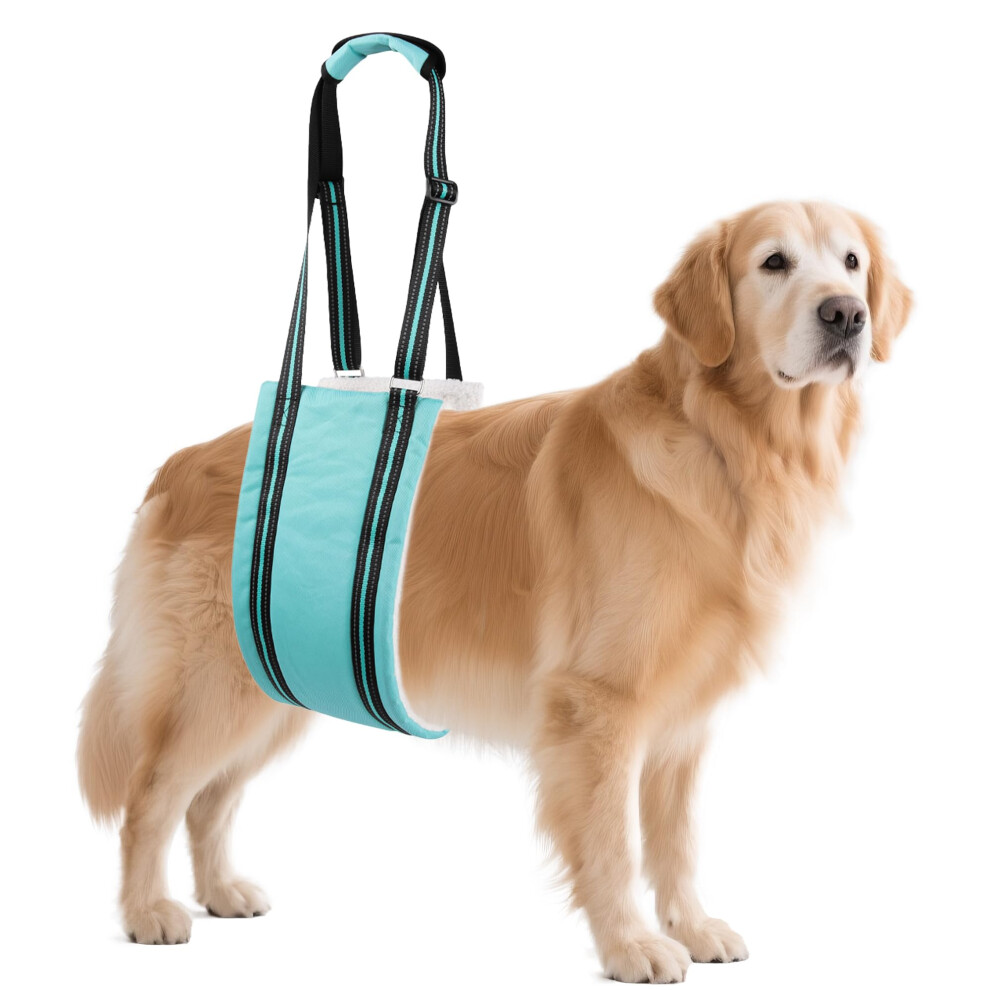 Aiitle Dog Sling For Large Dogs Hind Leg Support - Adjustable Reflective Design With Plush Padding, Ideal For Senior/Arthritic Dogs & Post-Surgery