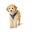 Hunter Hunter - Arnes Hilo Comfort Xs Anthracite 4