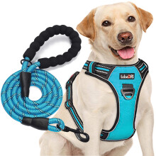 tobeDRI No Pull Dog Harness Adjustable Reflective Oxford Easy Control Medium Large Dog Harness with A Free Heavy Duty 5ft Dog Leash (L (Neck: