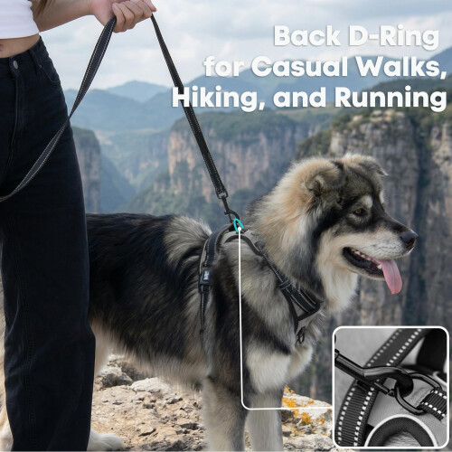 PoyPet No Pull Dog Harness, Reflective Vest Harness with 2 Leash Attachments and Easy Control Handle for Small Medium Large Dog(Grey,M) 2